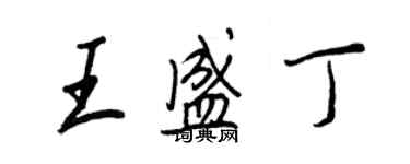 王正良王盛丁行书个性签名怎么写