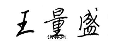 王正良王量盛行书个性签名怎么写