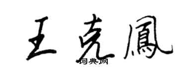 王正良王克凤行书个性签名怎么写