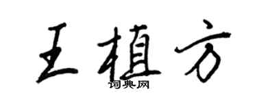 王正良王植方行书个性签名怎么写