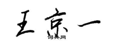 王正良王京一行书个性签名怎么写