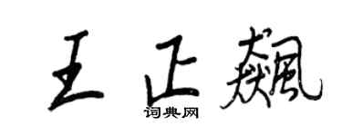 王正良王正飚行书个性签名怎么写