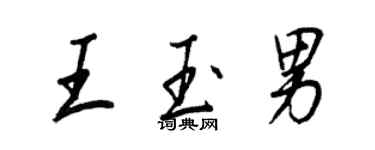 王正良王玉男行书个性签名怎么写