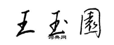 王正良王玉园行书个性签名怎么写