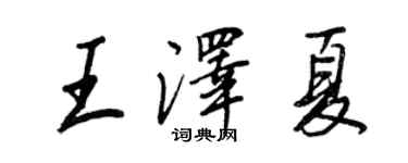 王正良王泽夏行书个性签名怎么写