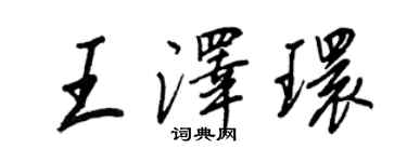 王正良王泽环行书个性签名怎么写