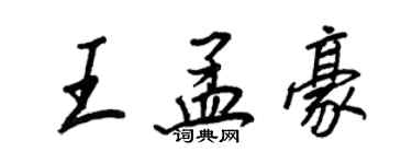 王正良王孟豪行书个性签名怎么写