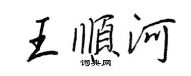 王正良王顺河行书个性签名怎么写