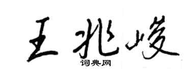 王正良王兆峻行书个性签名怎么写
