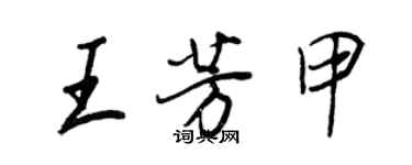 王正良王芳甲行书个性签名怎么写