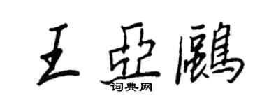 王正良王亚鸥行书个性签名怎么写