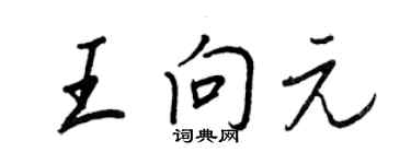 王正良王向元行书个性签名怎么写