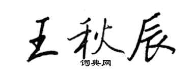 王正良王秋辰行书个性签名怎么写