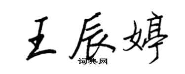 王正良王辰婷行书个性签名怎么写