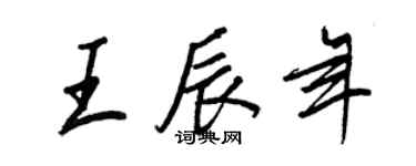 王正良王辰年行书个性签名怎么写