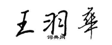 王正良王羽华行书个性签名怎么写