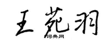 王正良王苑羽行书个性签名怎么写