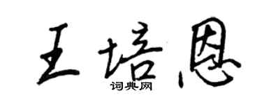 王正良王培恩行书个性签名怎么写
