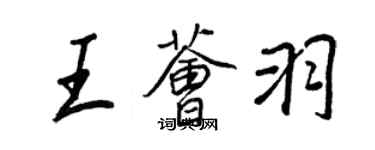 王正良王荟羽行书个性签名怎么写
