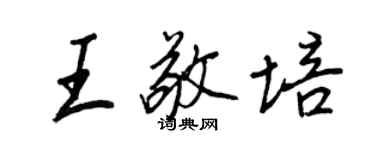 王正良王敬培行书个性签名怎么写