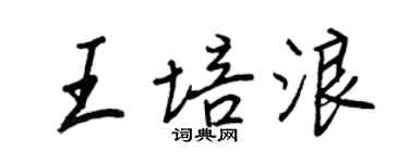 王正良王培浪行书个性签名怎么写
