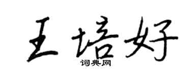 王正良王培好行书个性签名怎么写