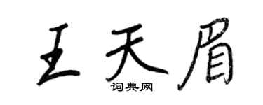 王正良王天眉行书个性签名怎么写