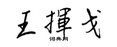 王正良王挥戈行书个性签名怎么写