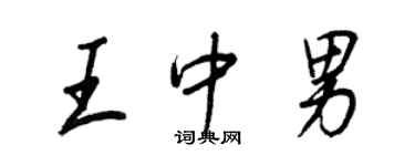 王正良王中男行书个性签名怎么写