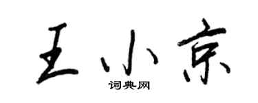 王正良王小京行书个性签名怎么写