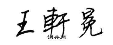 王正良王轩冕行书个性签名怎么写