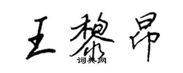王正良王黎昂行书个性签名怎么写