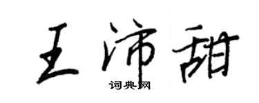 王正良王沛甜行书个性签名怎么写