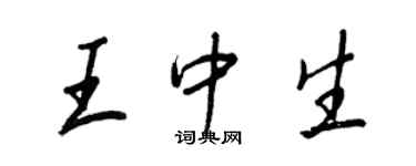 王正良王中生行书个性签名怎么写