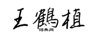 王正良王鹤植行书个性签名怎么写