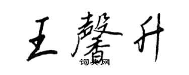 王正良王馨升行书个性签名怎么写