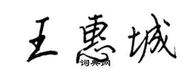 王正良王惠城行书个性签名怎么写
