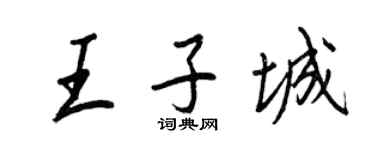 王正良王子城行书个性签名怎么写