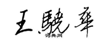 王正良王骁华行书个性签名怎么写