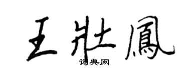 王正良王壮凤行书个性签名怎么写
