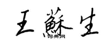 王正良王苏生行书个性签名怎么写