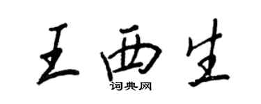 王正良王西生行书个性签名怎么写