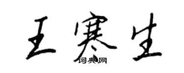 王正良王寒生行书个性签名怎么写