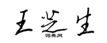 王正良王芝生行书个性签名怎么写
