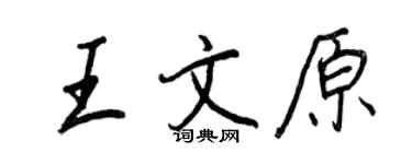 王正良王文原行书个性签名怎么写