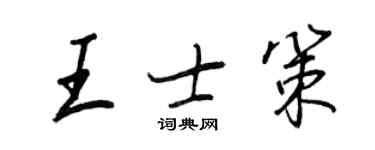 王正良王士策行书个性签名怎么写