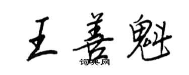 王正良王善魁行书个性签名怎么写