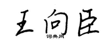 王正良王向臣行书个性签名怎么写