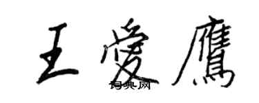 王正良王爱鹰行书个性签名怎么写