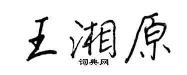 王正良王湘原行书个性签名怎么写
